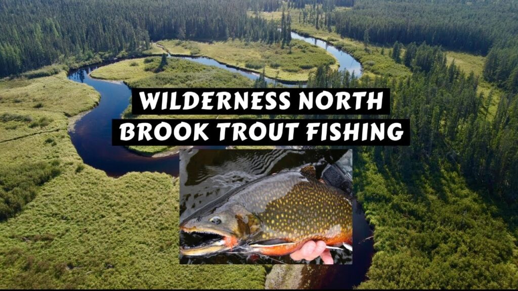 Wilderness Brook Trout by Canoe