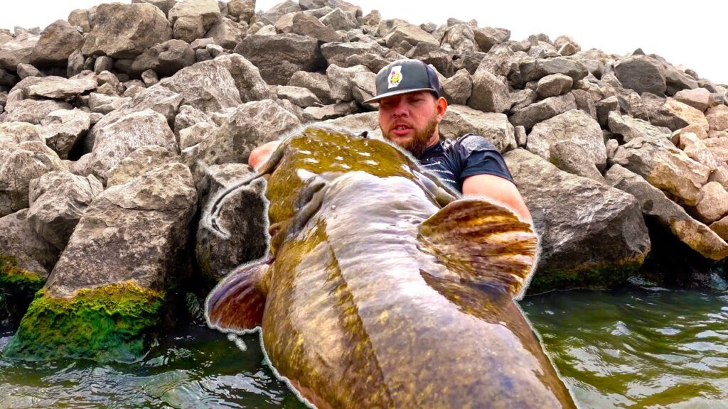 World Record Flathead was Caught in Kansas! We head to state #11 to HAND-FISH for our own GIANT!!
