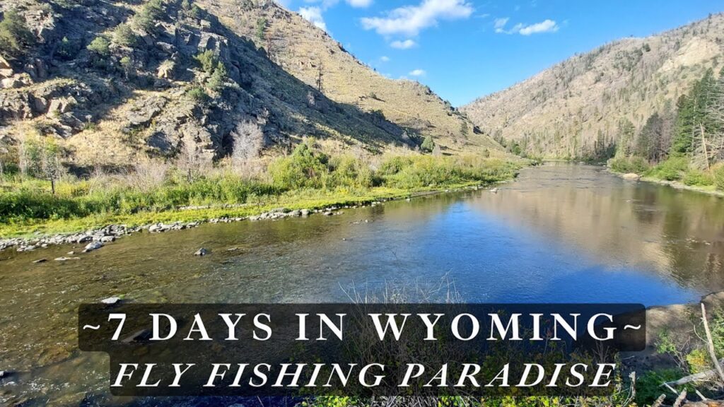 Wyoming is a Fly Fishing Paradise - Ill show you 3 amazing wild trout streams!